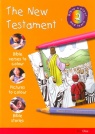 Bible Colour & Learn - New Testament 